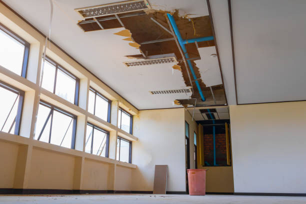 Best Local water damage restoration  in Gorman, TX