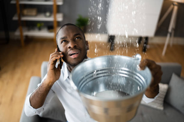 Best Flood damage cleanup  in Gorman, TX