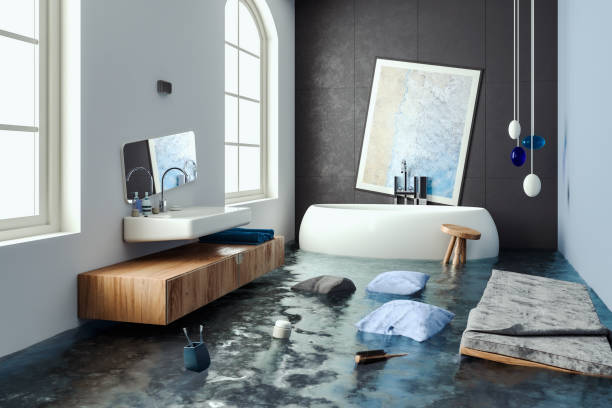 Best Mold removal after water damage  in Gorman, TX