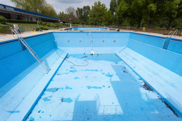 Best Water damage contractors near me  in Gorman, TX