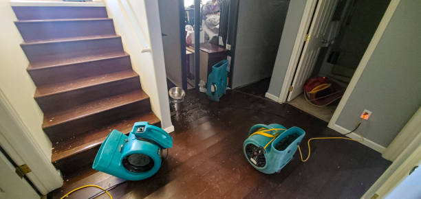 Best Water damage restoration services  in Gorman, TX