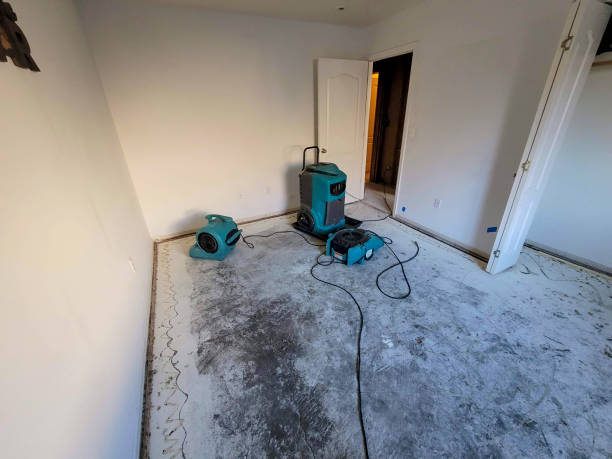 Best Professional water damage repair  in Gorman, TX