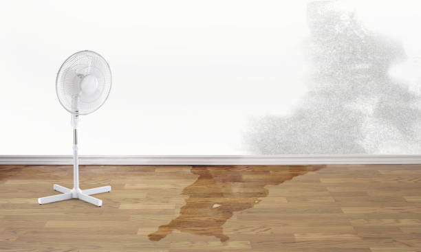 Professional Water damage restoration in Gorman, TX