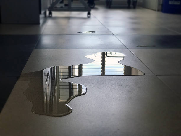 Best Water damage repair service  in Gorman, TX