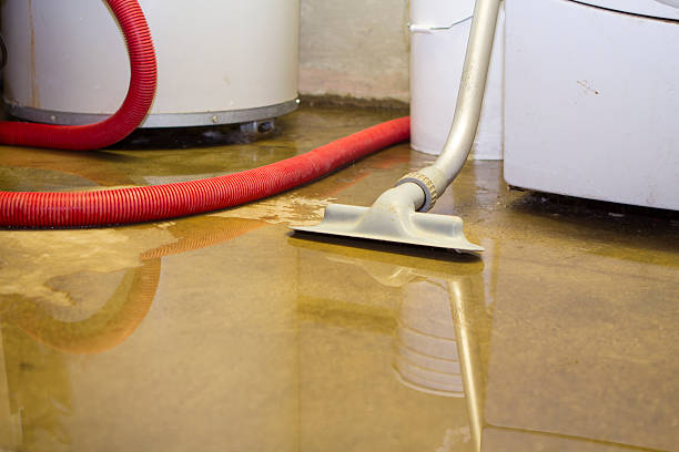 Best Sewage cleanup and water damage restoration  in Gorman, TX