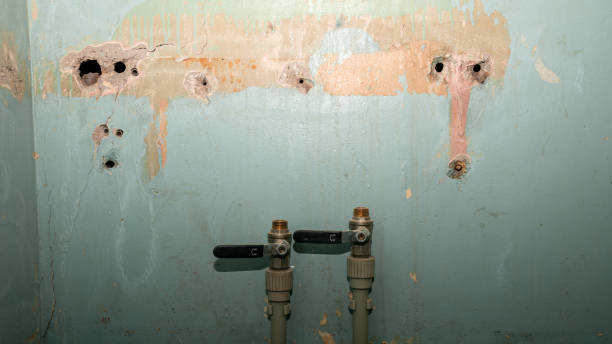 Best Flooded house restoration  in Gorman, TX