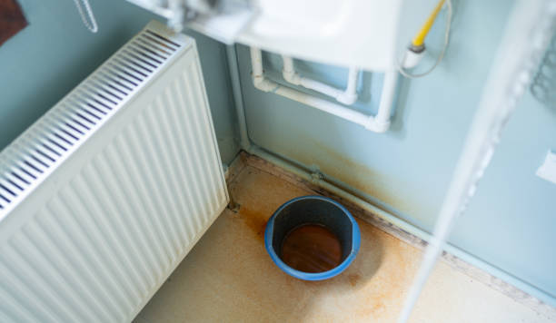 Best Basement water damage restoration  in Gorman, TX