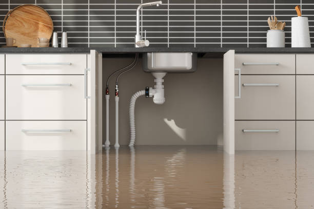 Best Flooded house restoration  in Gorman, TX