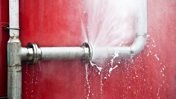 Best Professional water damage repair  in Gorman, TX