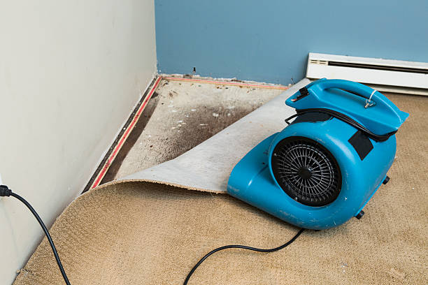  Gorman, TX Water damage restoration Pros